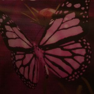 Meet your Posher, Catherine